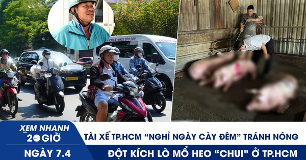 Xem nhanh 20h ngày 7.4: Tài xế TP.HCM nghỉ ngày cày đêm tránh nóng | Đột kích lò mổ heo 'chui' ở TP.HCM