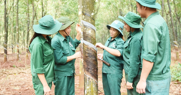 VRG kiến tạo giá trị bền vững