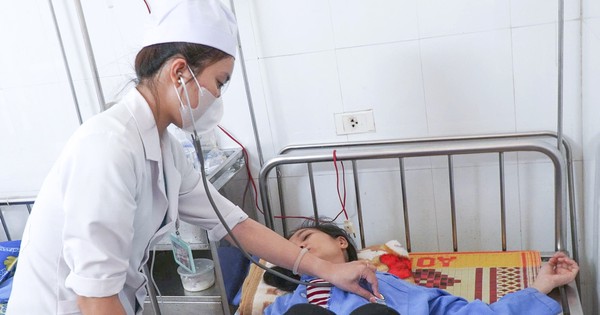 Quảng Ngãi: Phát hiện vi khuẩn Salmonella và Bacillus cereus trong bánh mì gây ngộ độc