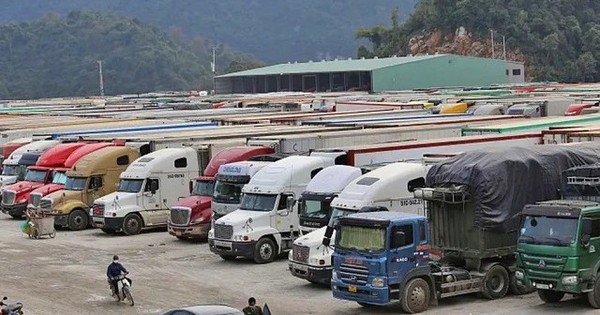 Nghị Quyết 15 Chính Thức Có Hiệu Lực, Tạm Ngưng Hai Văn Bản Về An Toàn Thực Phẩm