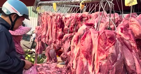 Giá heo hơi hôm nay 8.4.2026: TP.HCM lên mức cao nhất