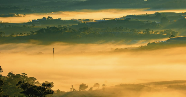 Nghỉ lễ 30.4: Ghé homestay Đà Lạt 'không cần săn mây, mây tự tìm tới'