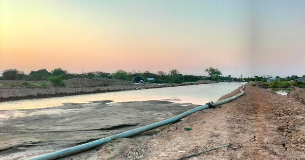 Đấu thầu dự án vành đai ngoài thành phố Bạc Liêu cũ: Đề nghị xử phạt nhiều đơn vị