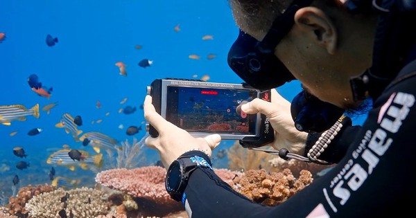Samsung hé lộ Ocean Mode: Công nghệ chụp ảnh đáy biển độc đáo cho Galaxy Ultra