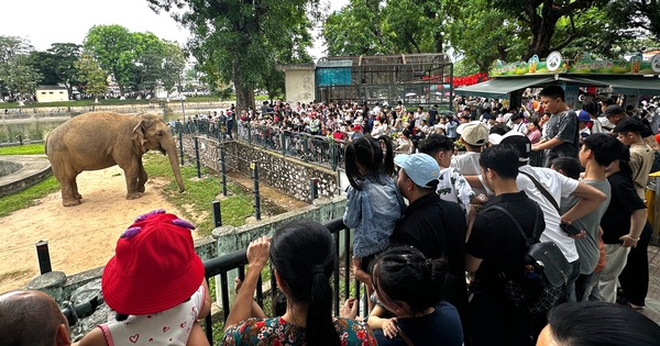 Vườn thú Hà Nội đông nghịt người, loa phát thanh liên tục cảnh báo móc túi