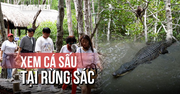 Bất ngờ với khu rừng nguyên sơ ngay tại TP.HCM