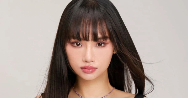 Cuộc sống của Miu Lê trước khi bị điều tra liên quan đến ma túy