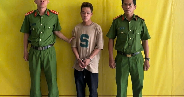 Công an TP.HCM bắt người đột nhập Miếu Bà Chúa Xứ trộm vàng, đồ thờ