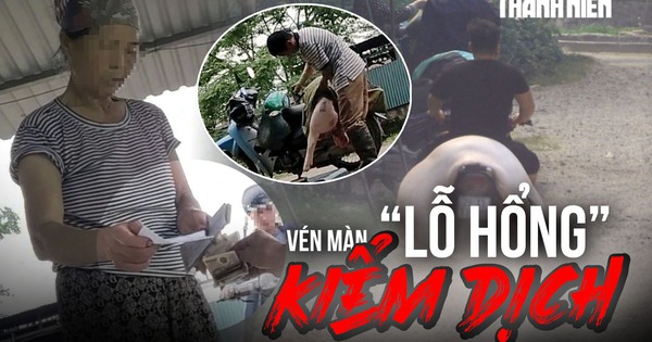 Vén màn 'lỗ hổng' kiểm dịch: Cán bộ thú y bỏ chốt, thương lái tự đóng dấu