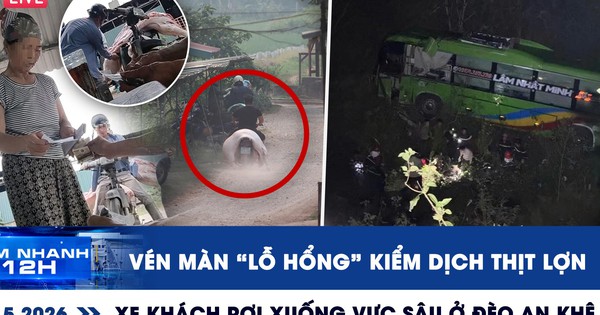 Xem nhanh 12h: Ven màn lỗ hổng kiểm dịch thịt lợn; xe khách rơi xuống vực sâu ở đèo An Khê