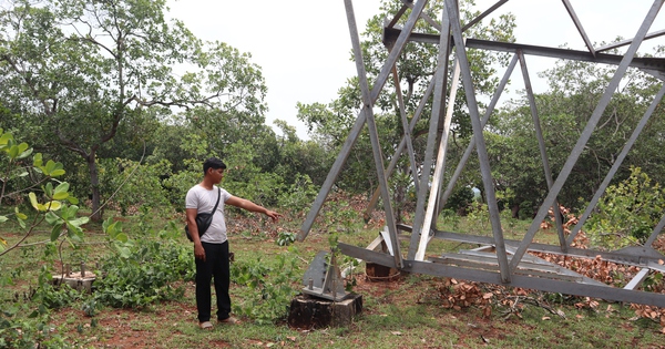 Đồng Nai: Trụ điện 110 kV không có đai ốc ngã đổ gây bất an