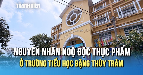 Nguyên nhân vụ ngộ độc thực phẩm tại Trường tiểu học Đặng Thùy Trâm là gì?