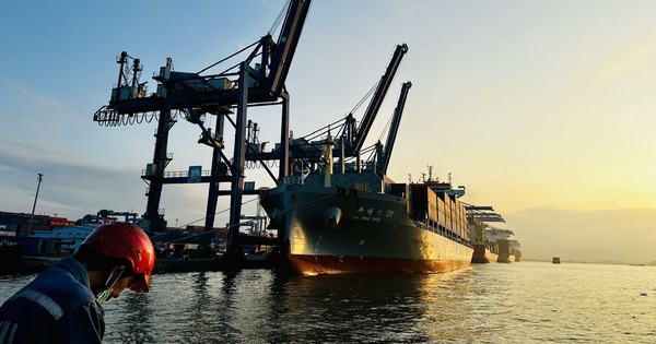 Cước tàu biển bất ngờ tăng