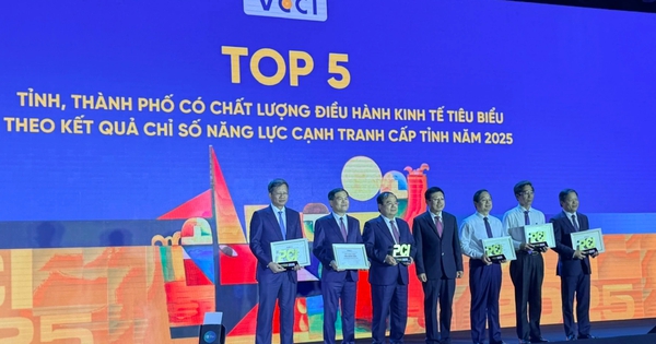 TP.HCM đứng đầu về chỉ số hiệu quả kinh tế tư nhân