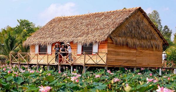 Lão nông chuyển ruộng lúa thành homestay giữa đồng sen, du khách đến rồi nhớ mãi
