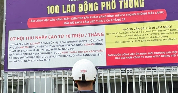 Thị trường lao động TP.HCM đang 'thừa cử nhân, thiếu lao động kỹ thuật'