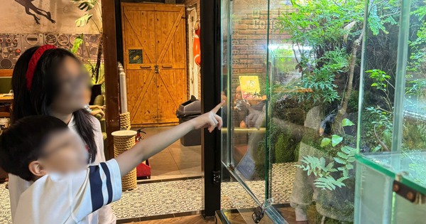 Nếu được tự thiết kế mùa hè lý tưởng, trẻ em mong gì?