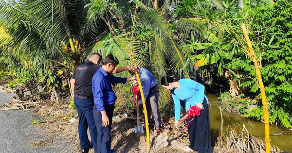 Trồng tre Đằng Ngà, tre Mạnh Tông nhân ngày sinh nhật Bác Hồ