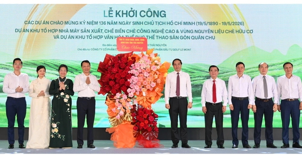 Thái Nguyên có dự án 'khủng' 2.200 tỉ đồng làm chè hữu cơ, sân golf Quân Chu