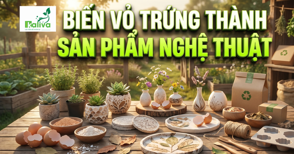 Cùng sống xanh số 149: Ý tưởng từ một lần đi ăn, sinh viên biến vỏ trứng thành sản phẩm tinh xảo