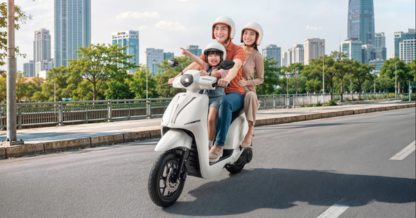 Dat Bike ERA: Xe điện gia đình dưới 30 triệu đồng ‘đủ cân đời thực’