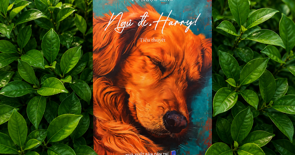 ‘Ngủ đi, Harry!’ - Tiếng gọi của lòng trắc ẩn