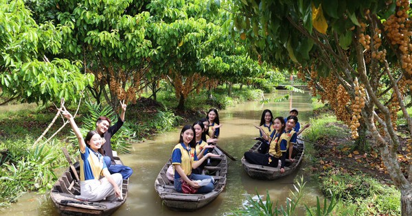 Nông dân làm du lịch từ vườn cây ăn trái, mỗi ngày đón hàng trăm khách