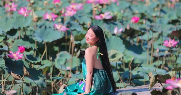 Thiếu nữ diện cổ phục, áo yếm thả dáng bên hồ sen rộng 1 ha đẹp như tranh