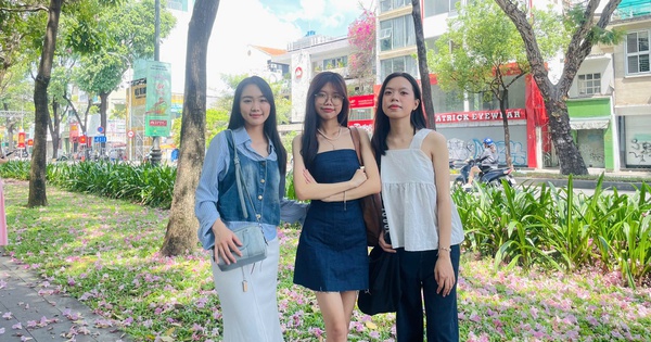 Tuyến đường hoa kèn hồng rực rỡ, người trẻ mê mệt tìm đến check-in