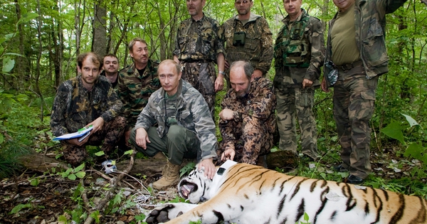 Ông Putin tặng hổ cho Kazakhstan trước thềm công du