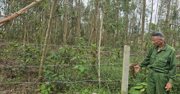 Nghĩa trang bị lấn chiếm, xã loay hoay xử lý