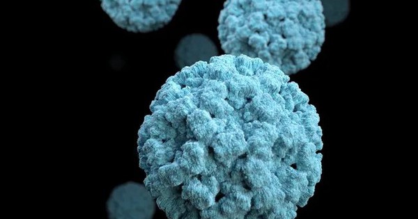 Virus gây nôn mửa đang lây lan hầu hết nước Mỹ