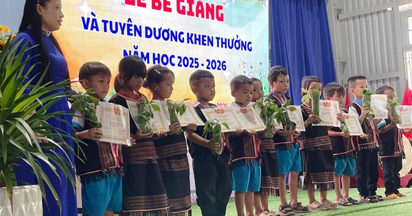 Bế giảng đặc biệt: Học sinh vùng cao Đà Nẵng nhận thưởng bằng sâm giống Ngọc Linh