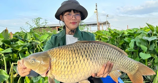 Không cà phê hay mua sắm, cô gái 27 tuổi lại thích ngồi câu cá hàng giờ
