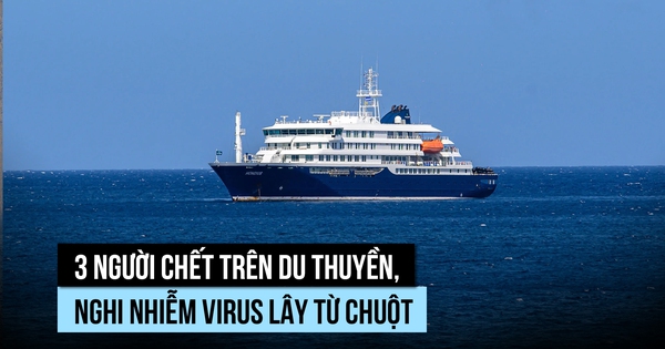 3 người chết sau khi dịch virus bùng phát trên du thuyền