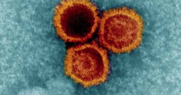 Chìa khóa đối phó loại virus có ở 95% dân số toàn cầu