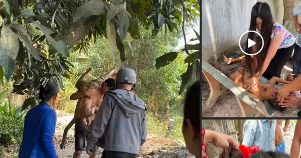 Khoảnh khắc sinh tử: Nữ giảng viên xả thân cứu bé trai đuối nước khi đang làm tóc