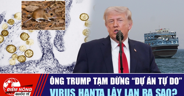 Tiêu điểm quốc tế 7.5: Ông Trump tạm dừng 'Dự án Tự do' | Virus hanta lây lan ra sao?