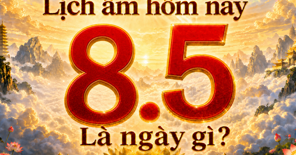 Ngày Thalassemia thế giới 8.5 là ngày gì? Theo lịch âm hôm nay có gì đặc biệt?