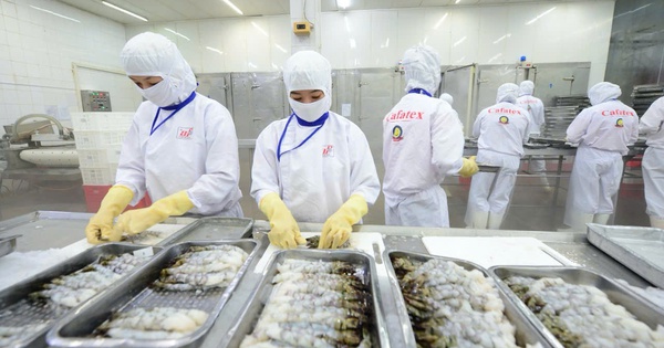 Xuất khẩu thủy sản có thể đạt kim ngạch 12 tỉ USD trong năm nay