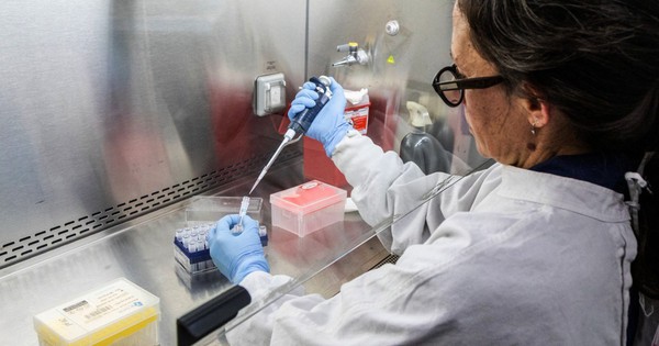 CDC Mỹ theo dõi virus hanta trên du khách từ du thuyền MV Hondius