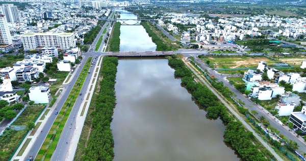 Chặt bỏ hai hàng cây khiến dự án kè sông 593 tỉ đồng chưa nghiệm thu