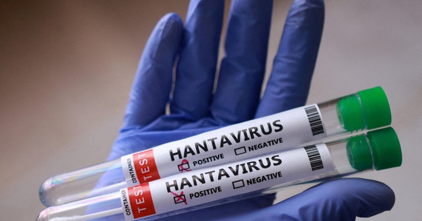 Số người nhiễm virus hanta gia tăng, đều thuộc biến thể lây từ người sang người