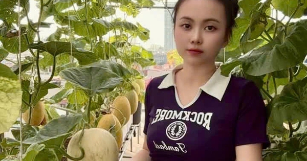 Mẹ trẻ xinh đẹp biến sân thượng thành vườn dưa trăm trái