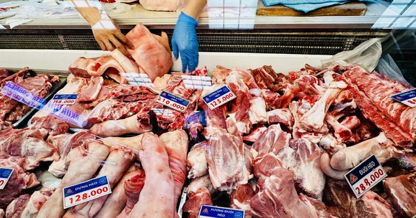 Giá heo hơi hôm nay 9.5.2026: Đồng loạt tăng