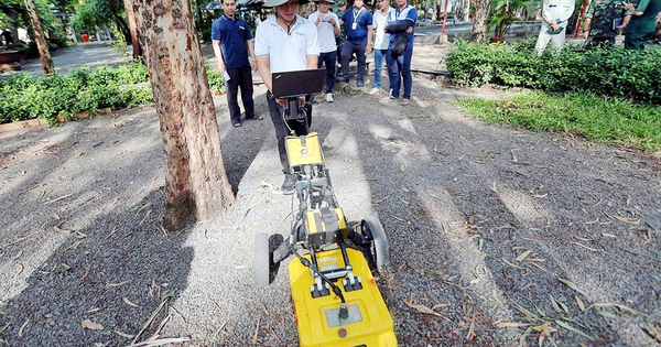 Searching for martyrs' remains at Le Thi Rieng Park: Using ground-penetrating radar to detect traces