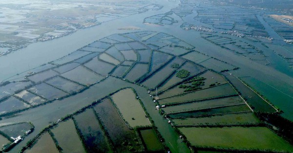 Reviving the 'green lungs' of Thi Nai lagoon