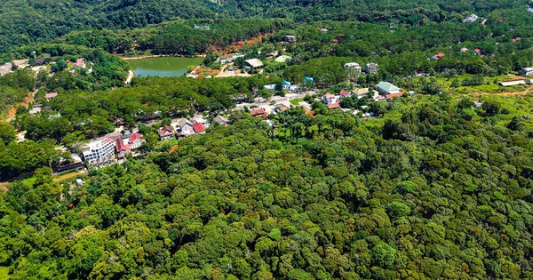 Quang Ngai targets forest carbon development for green growth