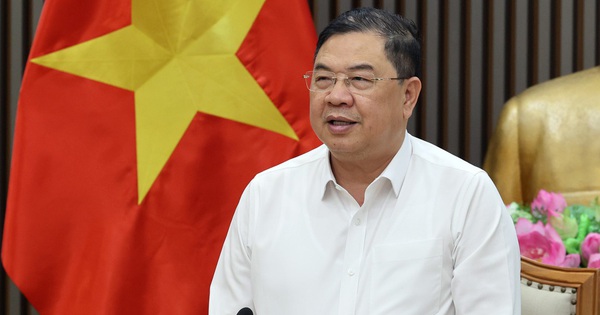 Vietnam Deputy PM Orders Fair Gift Car Imports, Cites Policy Abuse Fears