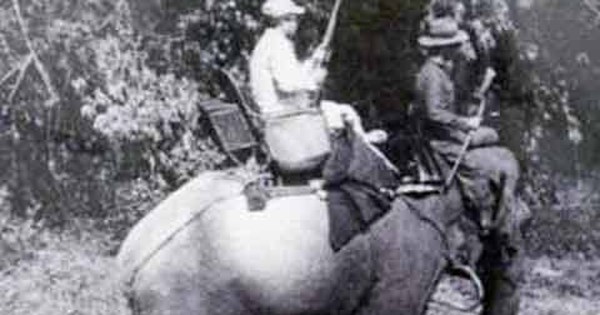 King Bao Dai's Elephant Hunts in Vietnam's Central Highlands and Tales of Weeping Elephants
